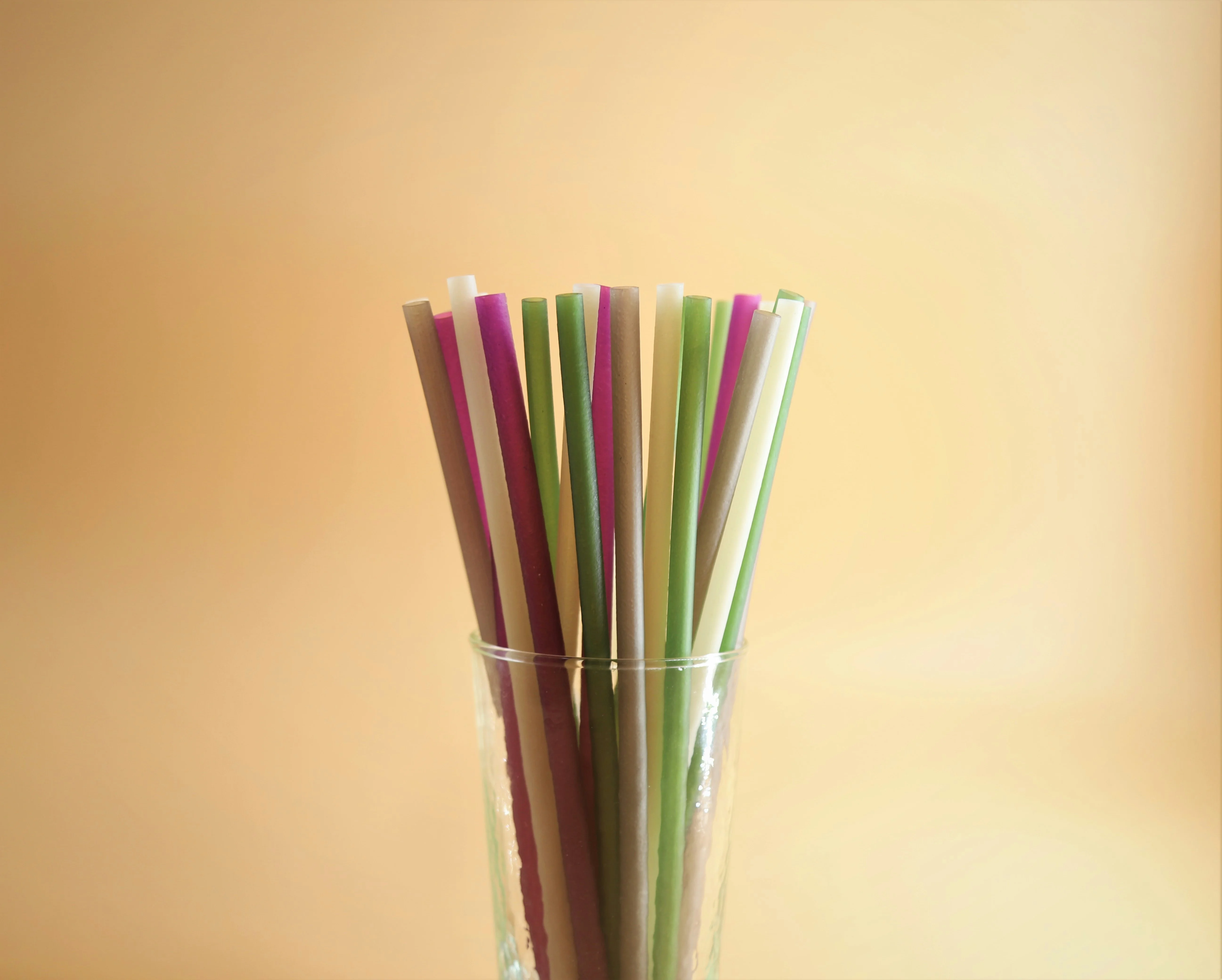 Paper Straws